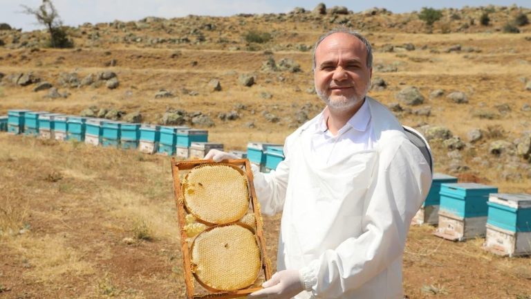 NÖHÜ’den Ekonomiye dev katkı