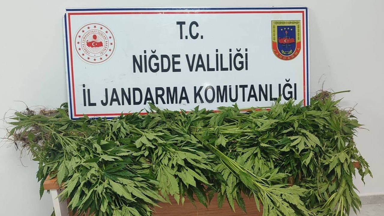 Hacıabdullah’ta Narkotik Operasyonu